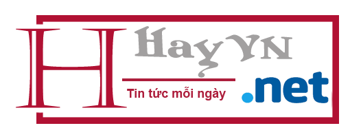 HayVn.Net